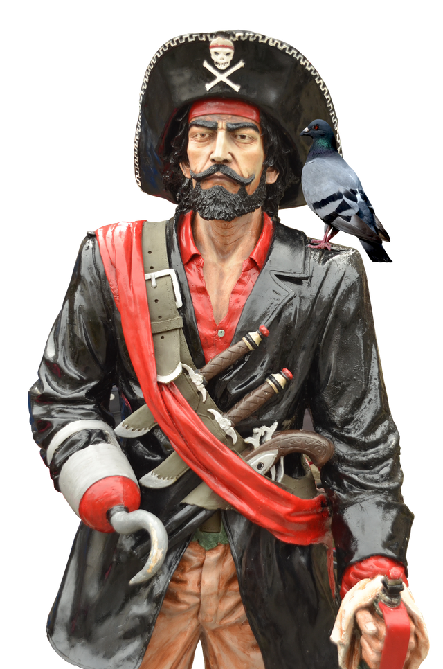 pirate-2626050_1920.png