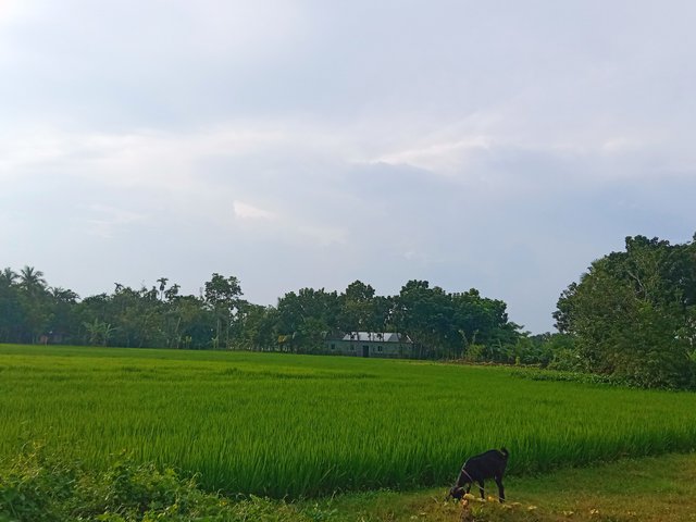 IMG_20250916_154154.jpg