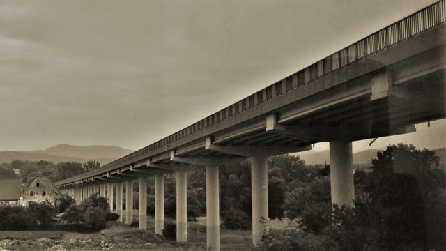 DSC_0252.JPG