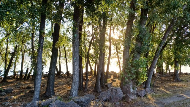 20250814_064321.jpg