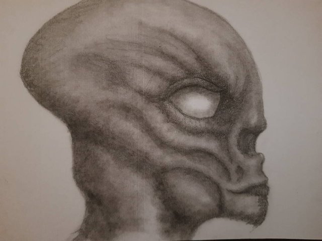 20250618_105334.jpg