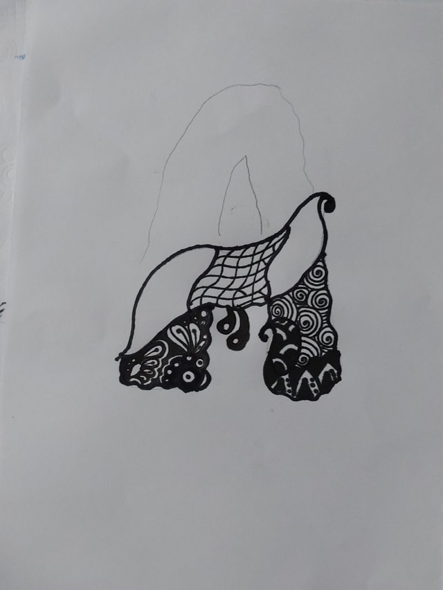 1000240409.jpg