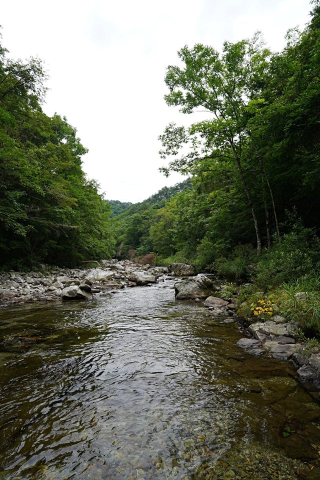 b-DSC00203.JPG