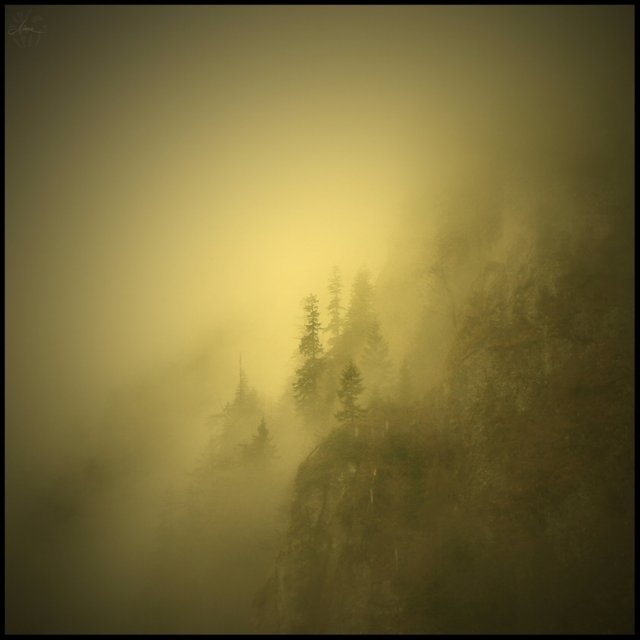 fog_awaits_by_dianacretu.jpg