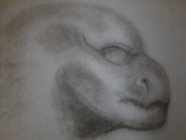 20250921_091808.jpg