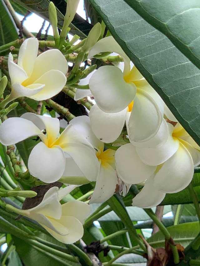 nature107.jpg