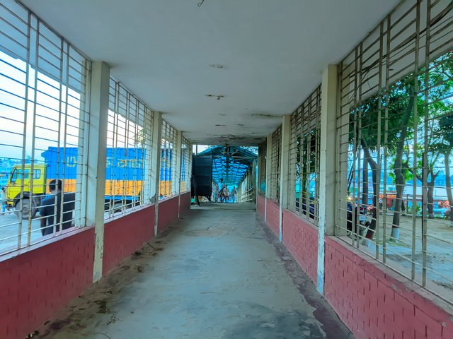 1000130286.jpg
