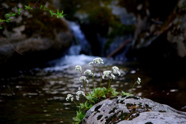 the-body-of-water-3275515_960_720.jpg