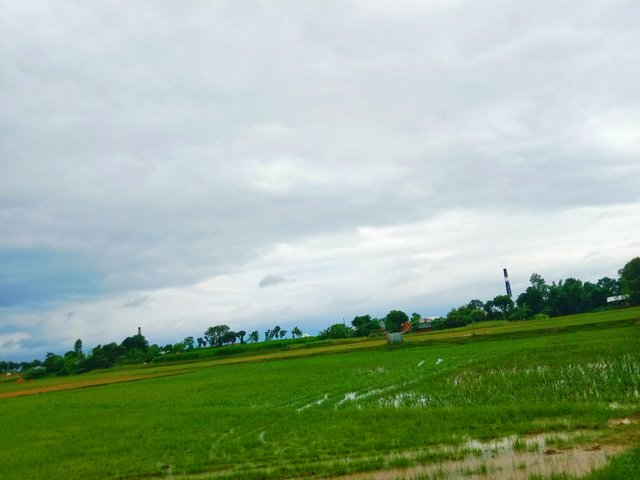 IMG_20250621_193105.jpg
