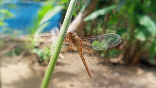 IMG_20250328_134636.jpg