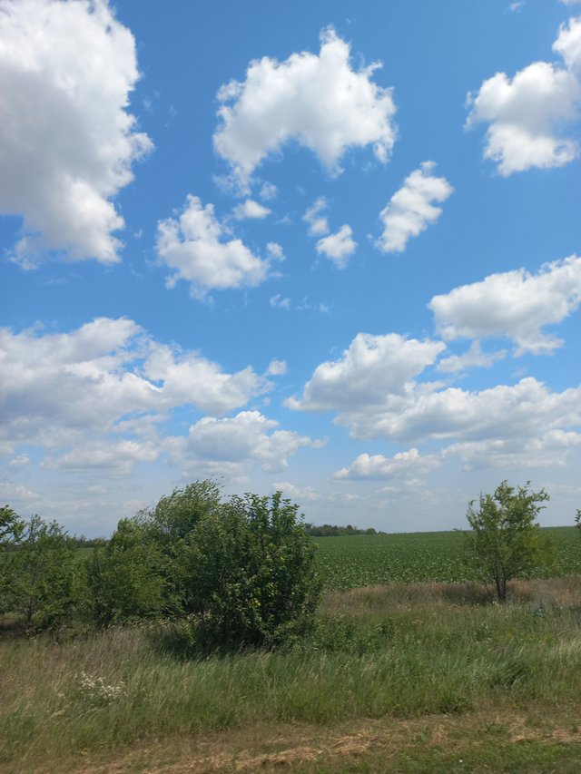 20250616_135404.jpg