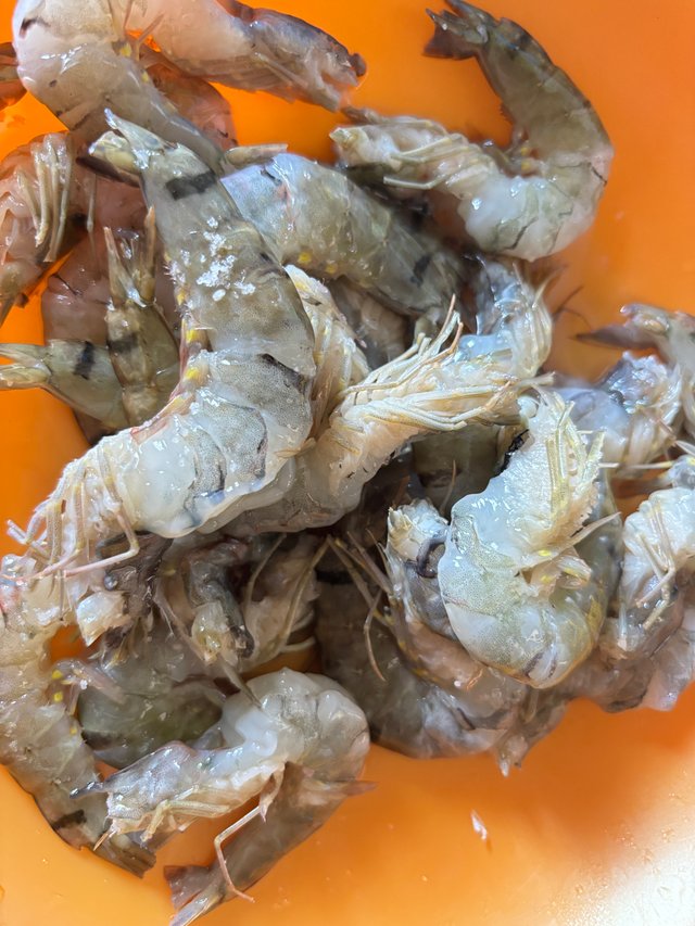 IMG_4052.jpeg