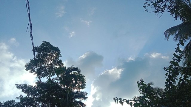 IMG_20250623_085921_515.jpg