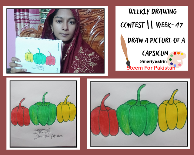Weekly Drawing Contest __ Week-47_20250618_191916_0000.png