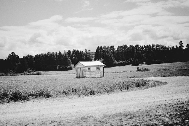 littlehouse.jpg