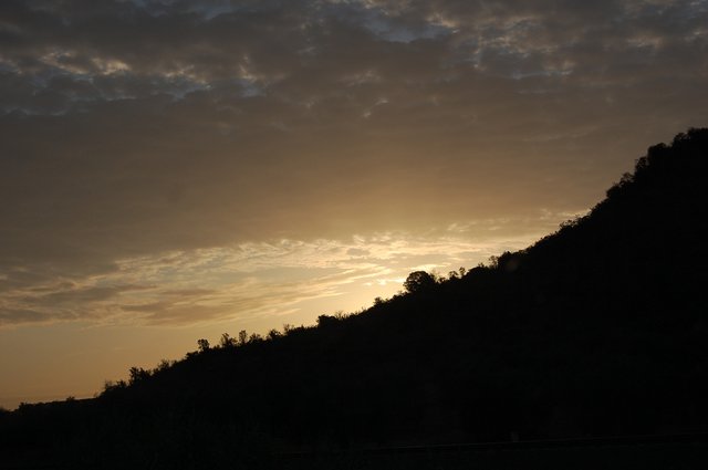k-DSC_0386.JPG