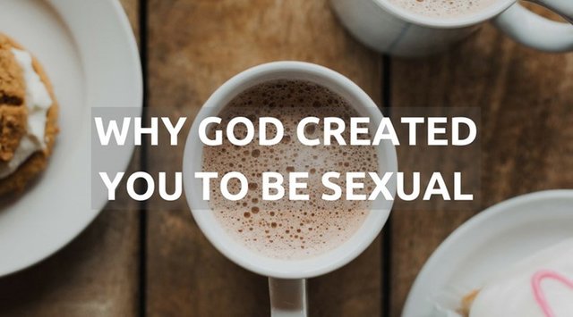 854e4bb8600d4403983b3d1f3ad8f1e4-why-god-created-you-to-be-sexual.jpg