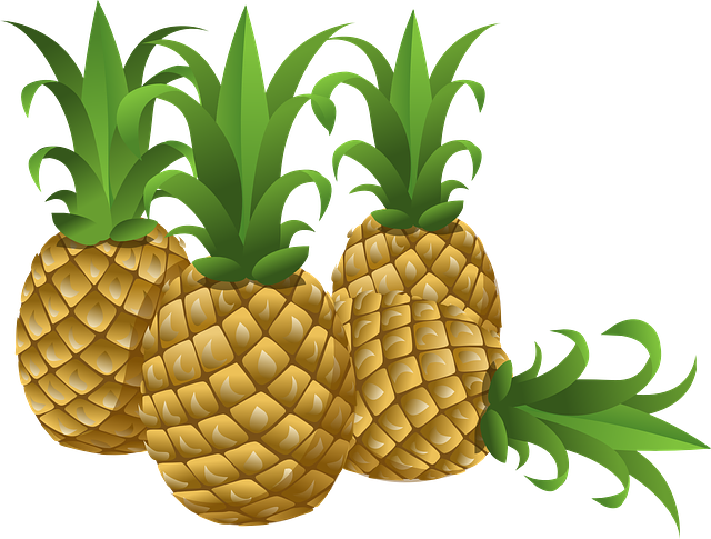 pineapples-576576_640.png