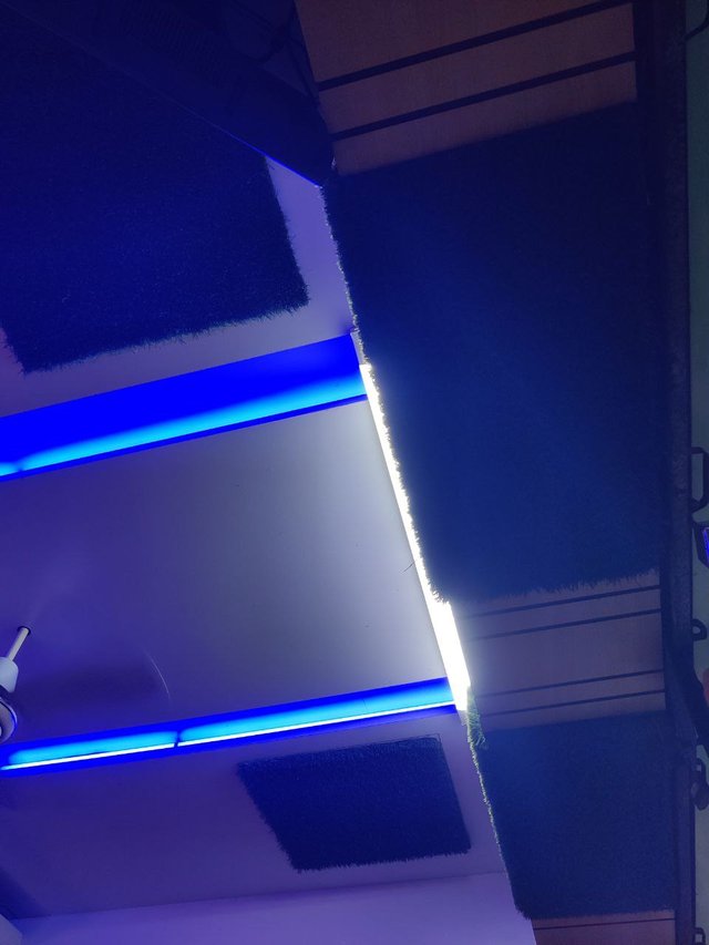 1000055080.jpg