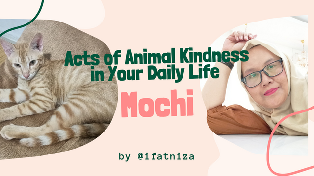 Acts of Animal Kindness in Your Daily Life_20250301_212309_0000.png