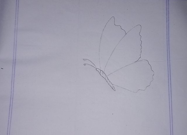 20250802_195823.jpg