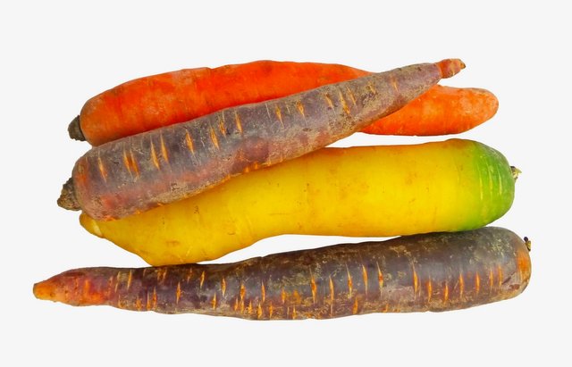 carrots-2144401_1920.jpg