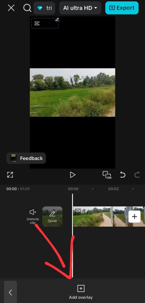 1000068821.jpg