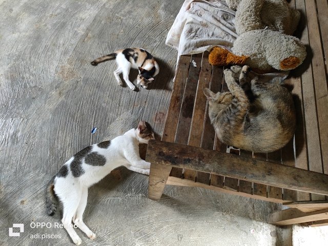 IMG20250620145229.jpg