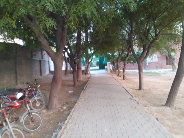 20250518_182841.jpg