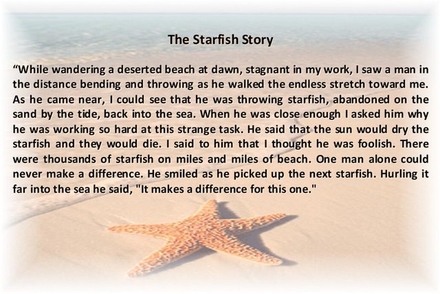 starfish-story-1030x687.jpg