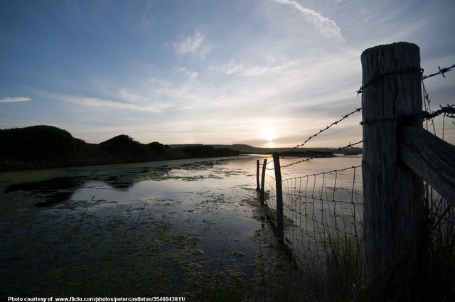 SunriseAtTheBarbedWireSwamp-0902718.jpg