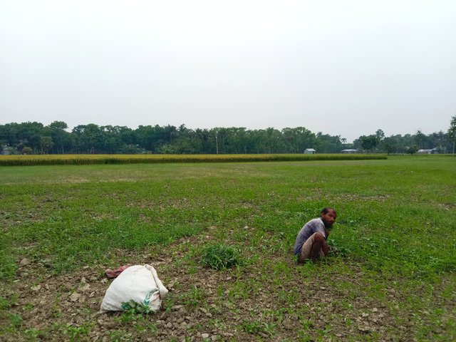 IMG_20250507_095110.jpg