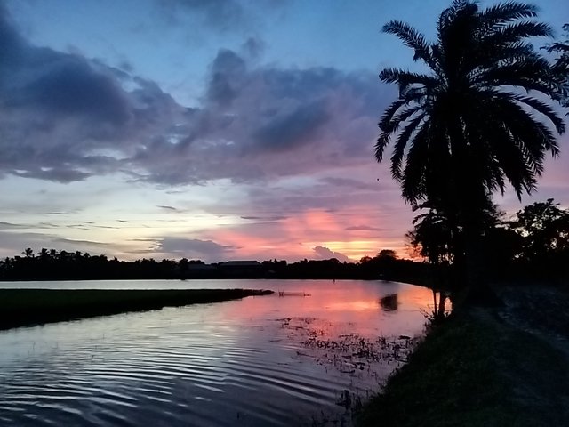 IMG_20250828_183824.jpg