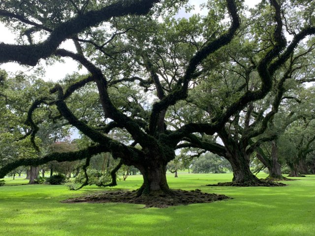 Whitney Plantation20.jpg