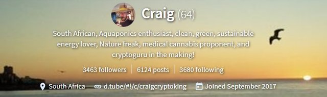 craigcryptoking.jpg