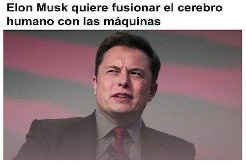 elon.jpg