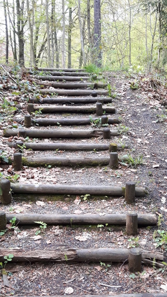 20160430_164359.jpg