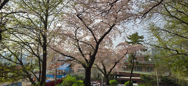 KakaoTalk_20250421_210042984_04.jpg