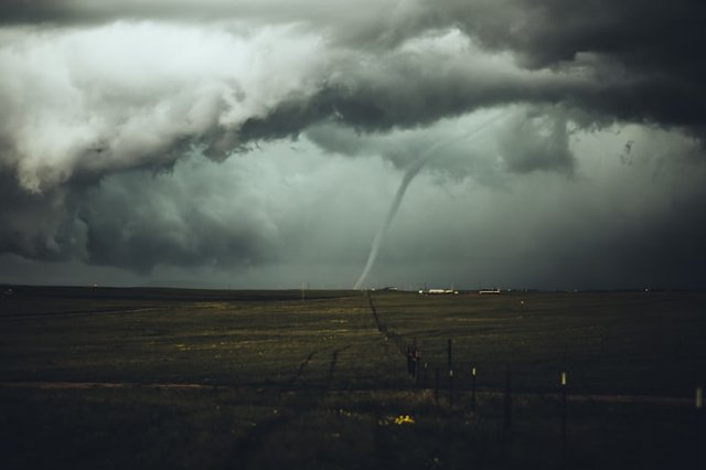photo-1527482937786-6608f6e14c15.jpeg