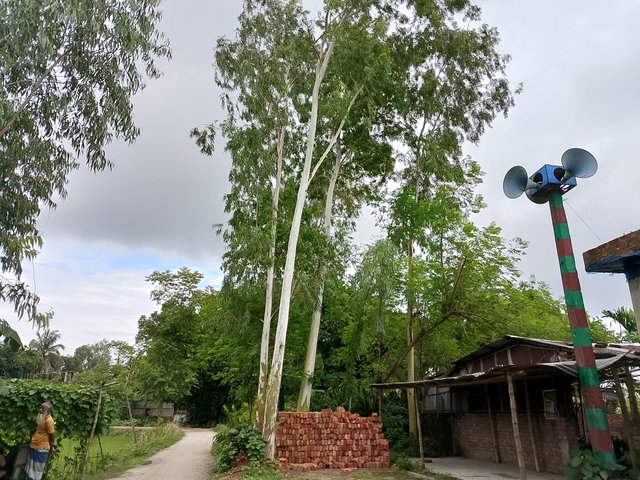 1000047342.jpg