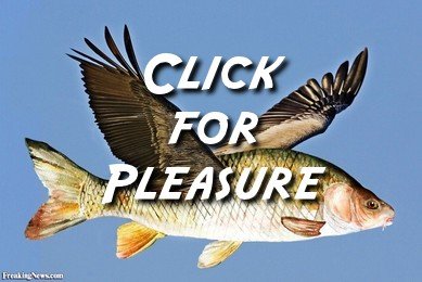 flying-fish-pleasure.jpg