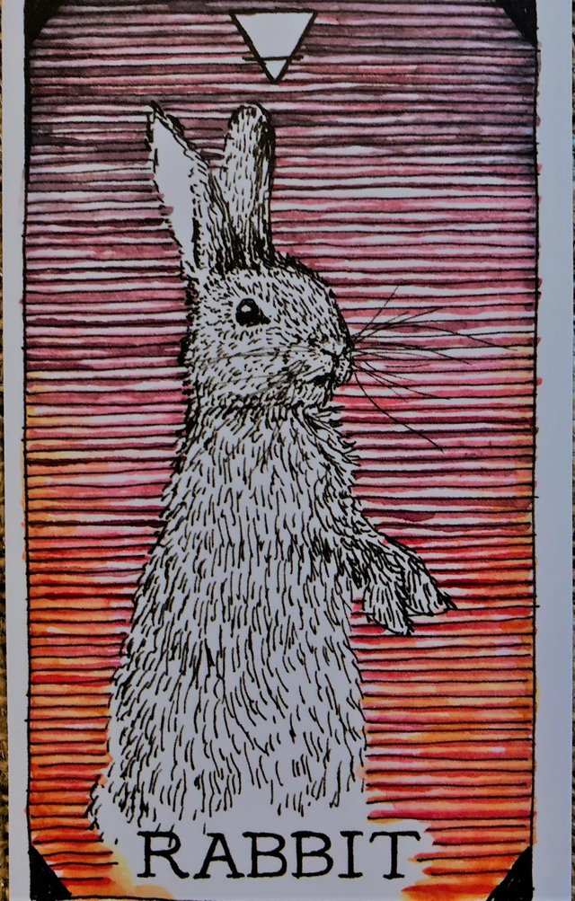 wild-unknown-animal-spirit-rabbit.jpg