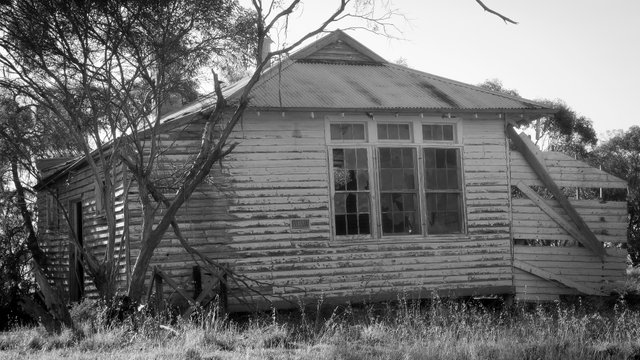 20250510_144550.jpg