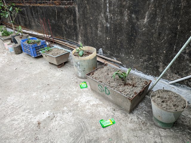 1000031936.jpg