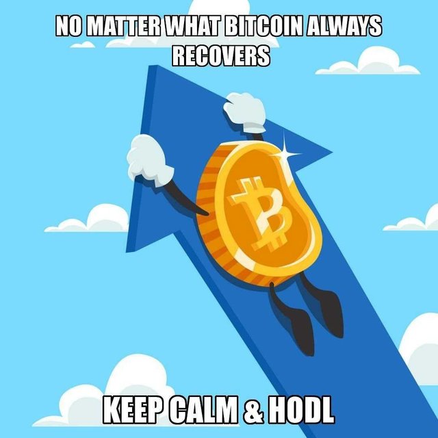bitcoin-meme-idlememe.jpg