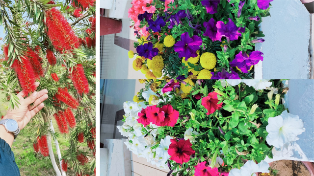 Untitled design (28).png