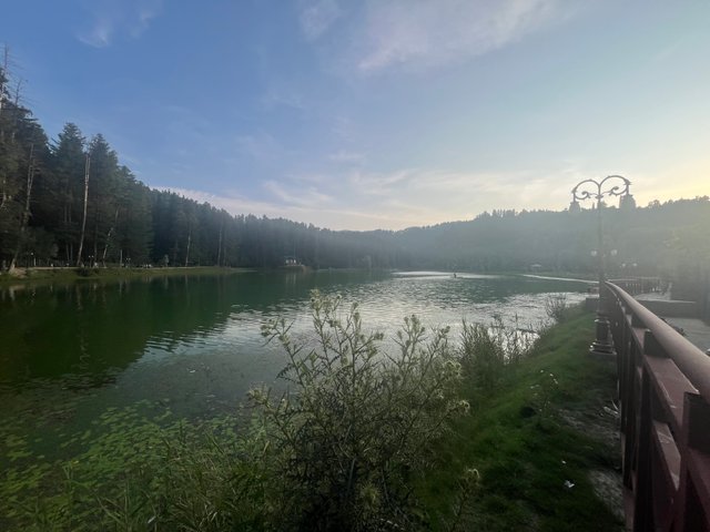 IMG_4122.jpeg
