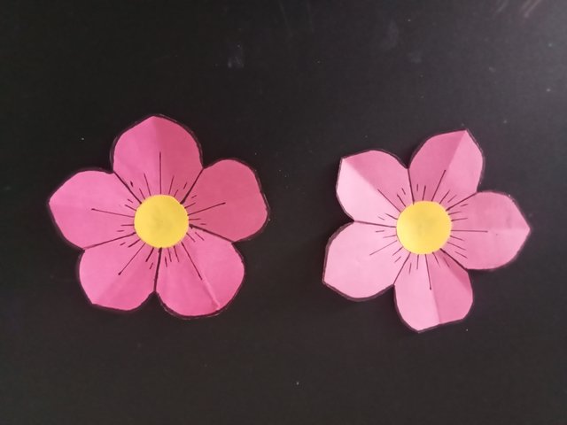 1000028167.jpg