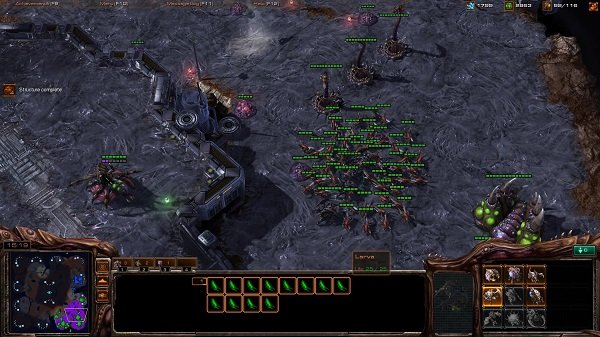 zergling-sc2.jpg