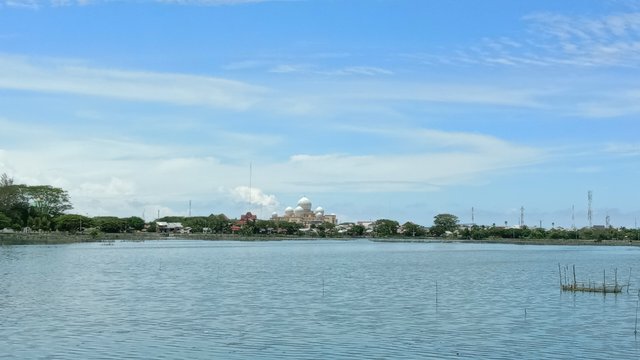 IMG_20250405_134141.jpg